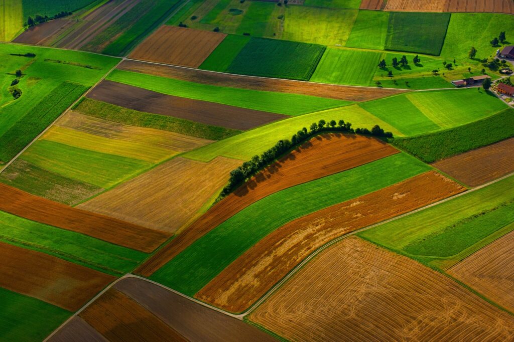 field, farm, green