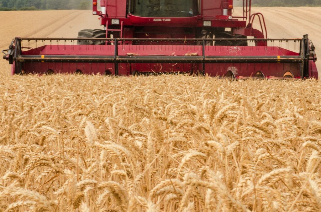 harvester, tractor, wheat